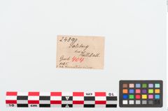 Etiketten zu Bernsteinringperle (NHMW-PRAE-024890)